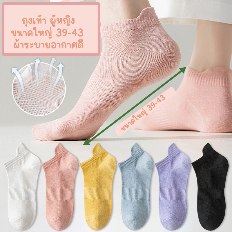 ถุงเท้า ขนาดใหญ่พิเศษ 39-43 ผู้หญิง ผ้านุ่ม 6 สีสวย ตลาสสิค ใส่เที่ยว ใส่ทำงาน ข้อสั้น-ข้อกลาง