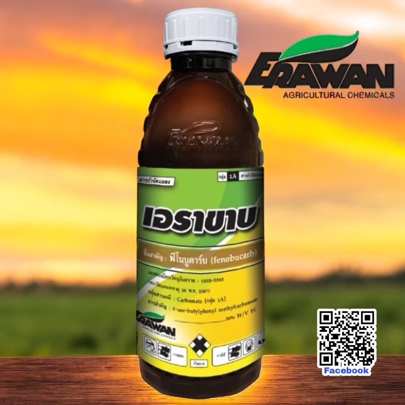 เอราขาบ (1 ขวด ใช้ได้ 10 ไร่) ฟีโนบูคาร์บ 50% • กำจัดเพลี้ยได้อย่างรวดเร็ว
