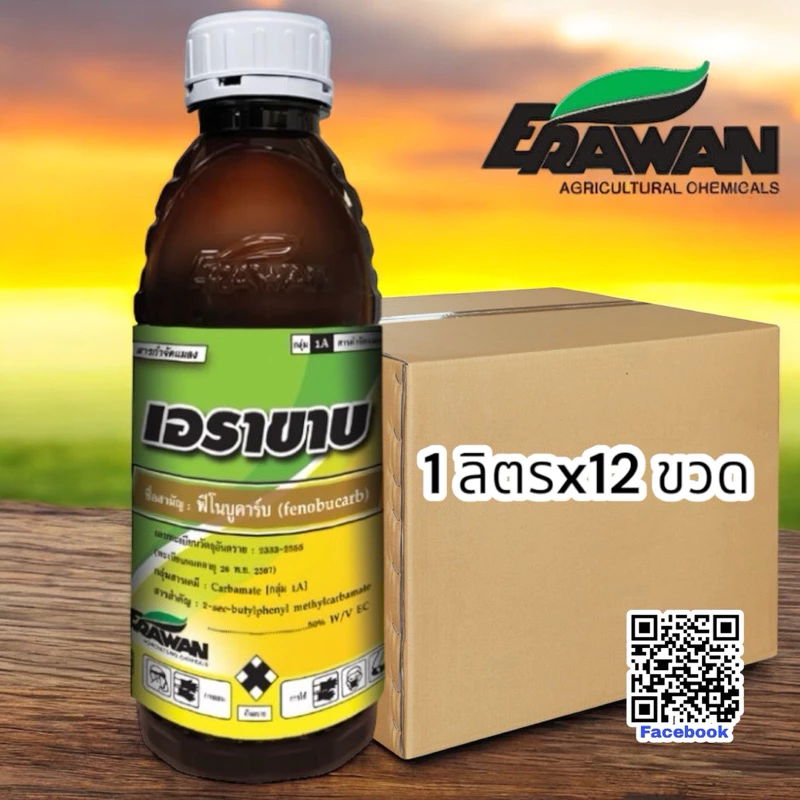 เอราขาบ (1 ขวด ใช้ได้ 10 ไร่)(1 x12ขวด) ขวดฟีโนบูคาร์บ 50% • กำจัดเพลี้ยได้อย่างรวดเร็ว