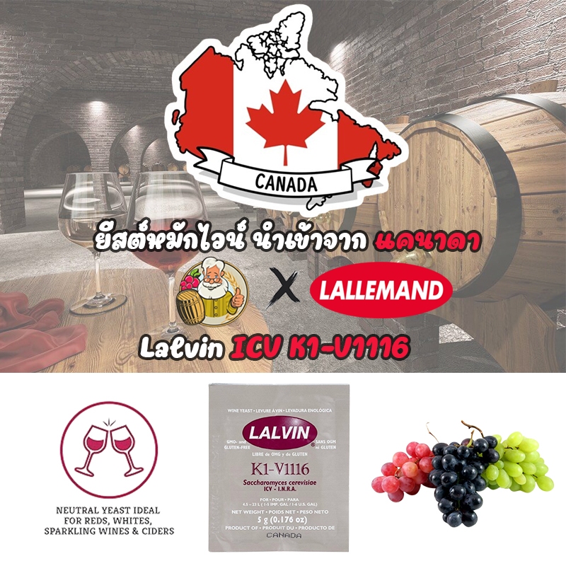 ยีสต์หมักไวน์ Lalvin Montpellier K1-V1116 Wine Yeast