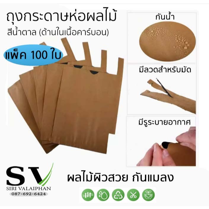 ถุงกระดาษห่อผลไม้ แพ็ค 100 ใบ ด้านนอกสีน้ำตาล (ด้านในเนื้อคาร์บอนสีดำ) เพื่อให้ผิวผลไม้สีนุ่มนวลขึ้น กันแมลง ราคา ถูกที่สุด ดีลบีเคเค แกลเลอรีภาพที่ 2