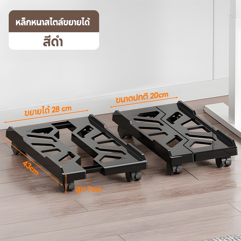 รูปภาพ 8