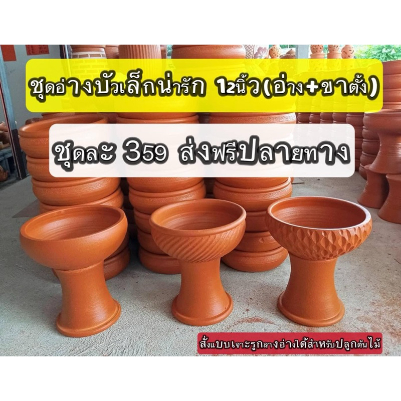อ่างบัวเล็กพร้อมฐานรอง ขนาด12นิ้ว คละลายส่ง