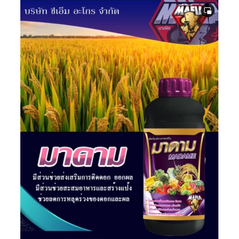 มาดาม ส่งเสริมการติดดอก ออกผล สะสมอาหาร