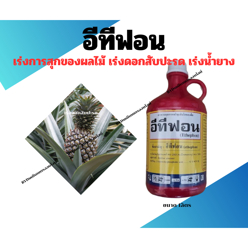 อีทีฟอน ขนาด1ลิตร อีทีฟอน52% สารกลุ่มเอทีลิน เร่งการสุกแก่ของผลไม้ เร่งน้ำยาง เร่งดอกสับปะรด อีทีฟอนเข้มข้น