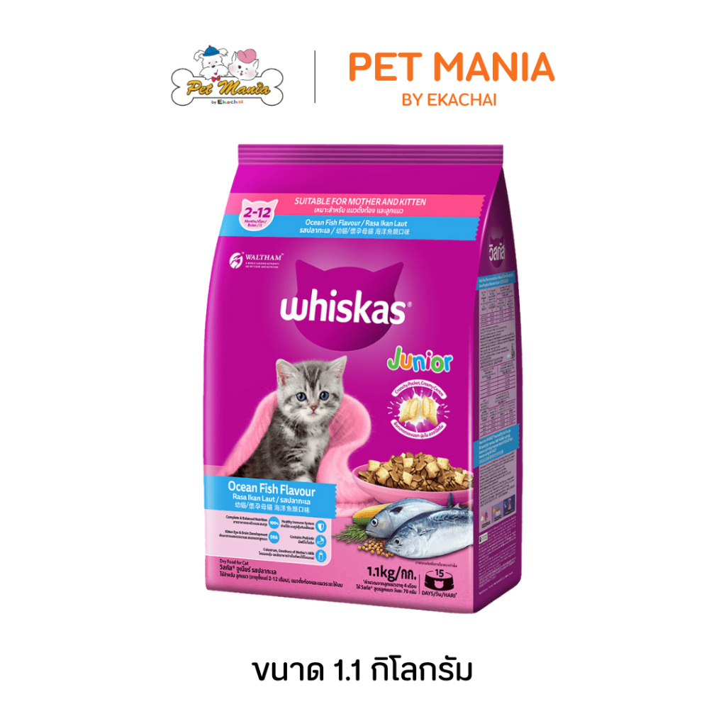 Whiskas Junior วิสกัส ลูกแมว 1.1 kg. อาหารแมวชนิดเม็ด พ็อกเก็ตส์นม รสปลาทะเล
