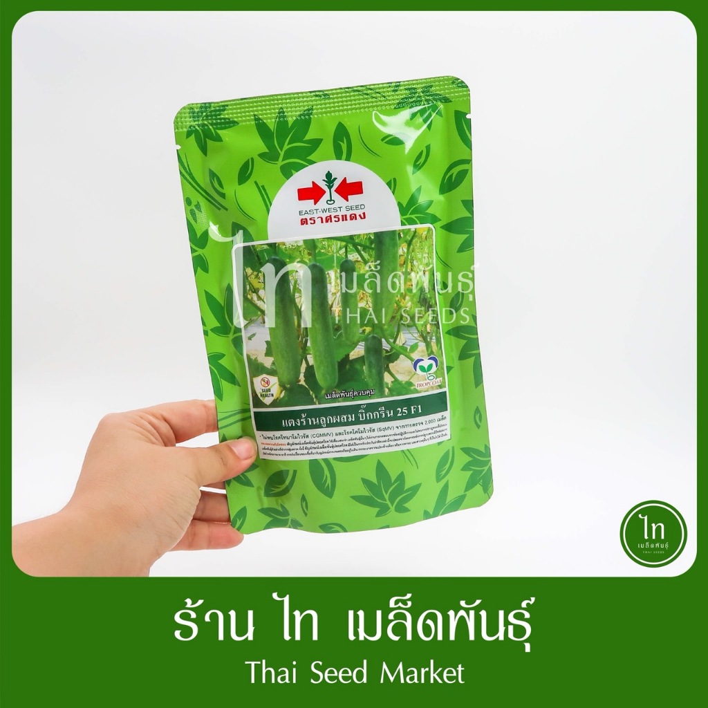 แตงร้าน บิ๊กกรีน 25 F1 เมล็ดพันธุ์ แตงร้าน ลูกผสม ตราศรแดง บรรจุ 100/10 กรัม (ล๊อตใหม่บรรจุใส่ถุง)