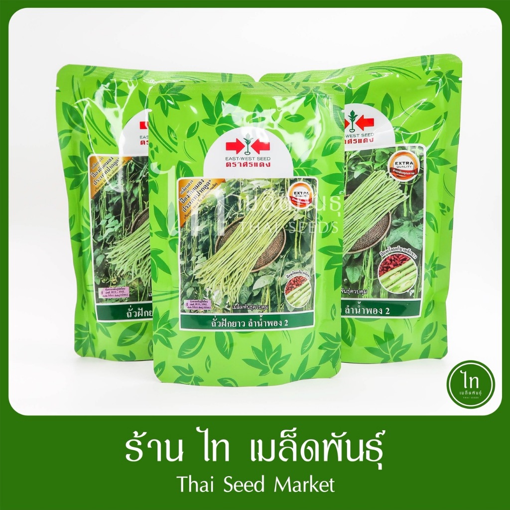 ถั่วฝักยาว ลำน้ำพอง 2 (เคลือบสารป้องกัน) เมล็ดพันธุ์ ถั่วฝักยาว ลูกผสม ศรแดง บรรจุ 500 / 100 กรัม