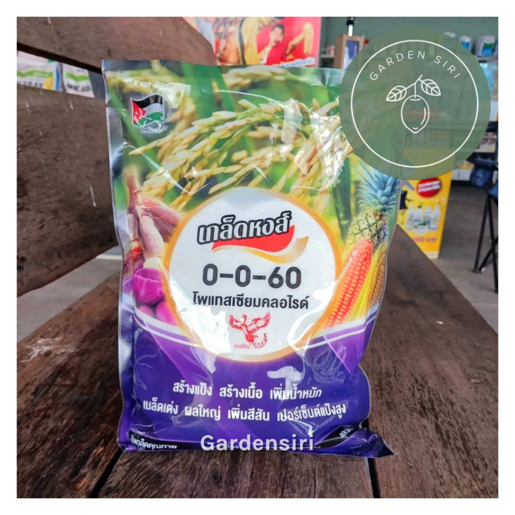 คลิปตั้น-เอ็มโอพี 0-0-60 ขนาด 1กก. ตราเกล็ดหงส์