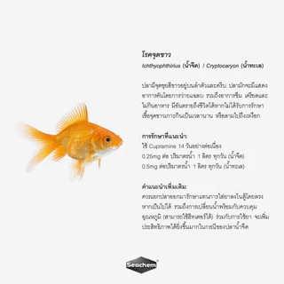 Seachem Cupramine™ สารละลายคอปเปอร์กำจัดปรสิตภายนอกในปลา เช่น จุดขาวและสนิม ปลอดภัยต่อปลาและสิ่งมีชีวิต