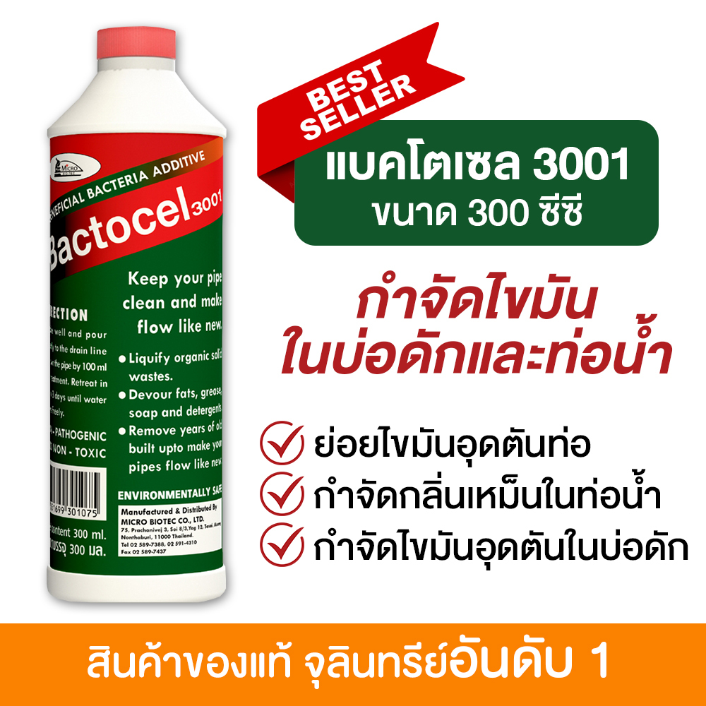 แบคโตเซล 3001 300cc จุลินทรีย์ ย่อยไขมันอ่างล้างจาน ดับกลิ่นเหม็นถังดักไขมัน บ่อดักไขมัน บ่อดัก.