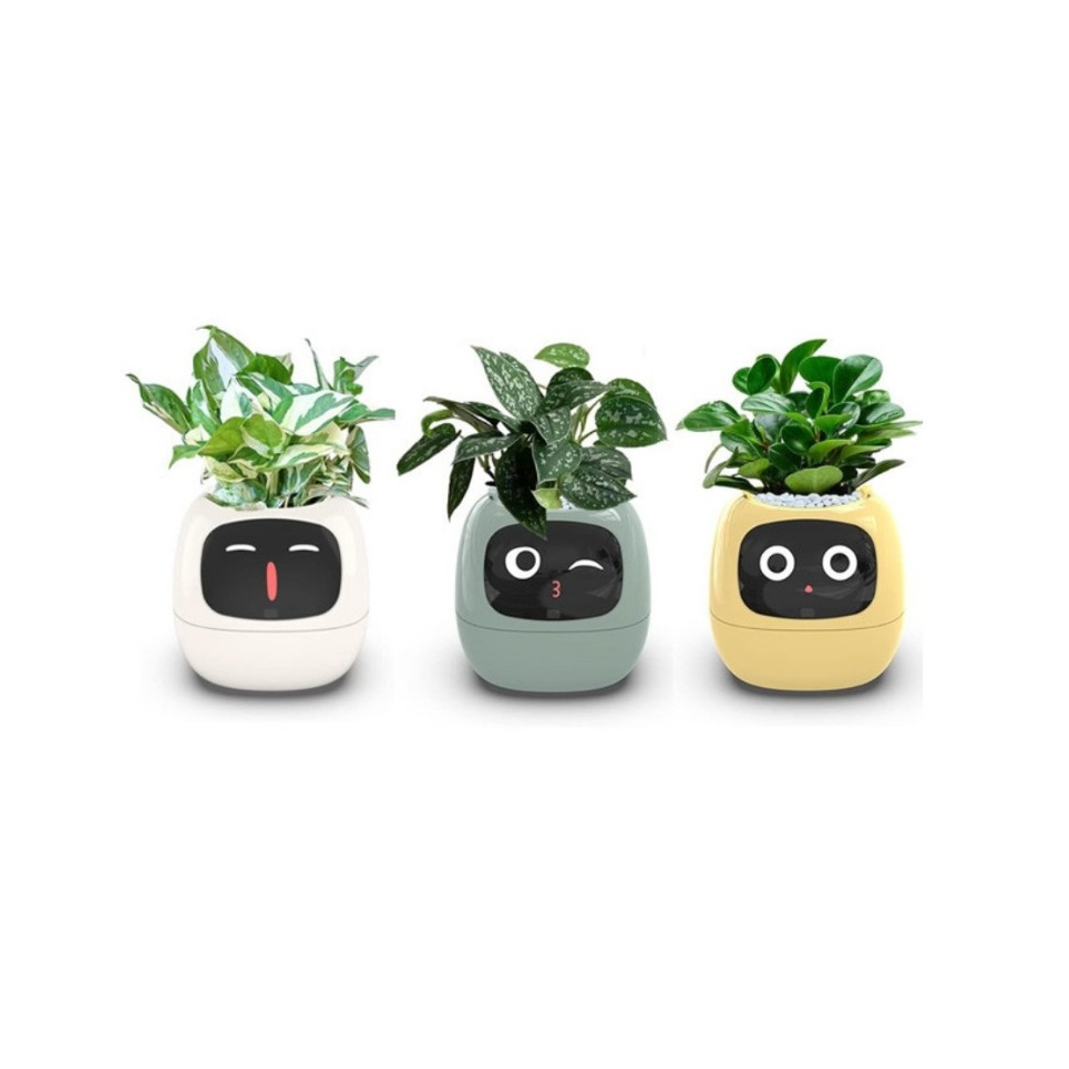 Plantsio lvy กระถางต้นไม้อัจฉริยะ เซนเซอร์อัจฉริยะ 7 ตัว และชิป AI สําหรับปลูกต้นไม้ ข้างเตียง ห้องนั่งเล่น