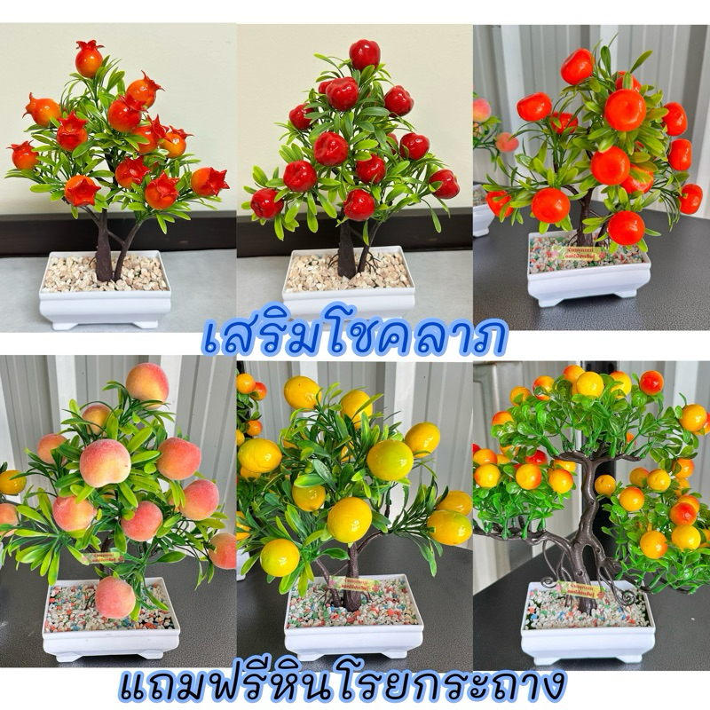 ต้นผลไม้ปลอม ผลไม้มงคลเสริมฮวงจุ้ย โชคลาภ ผลไม้ปลอมพร้อมกระถาง **แถมฟรีหินโรยกระถาง