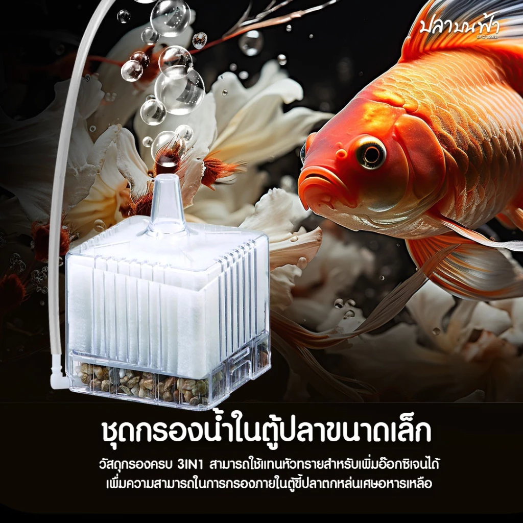 กรองสี่เหลี่ยม ประหยัดพื้นที่ พร้อมระบบกรอง ดักจับสิ่งสกปรกภายในตู้ปลา ใช้งานง่ายแค่เสียบปั๊มลมออกซิเจน เครื่อง พ่น thumbnail 5