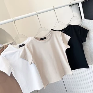 BS TSHIRT. เสื้อยืดคอกลม เบสิคผ้ายูนิทรงสลิมฟิต🔥พร้อมส่ง