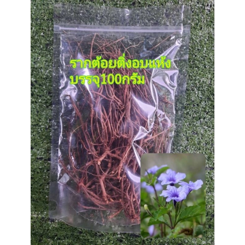 รากต้อยติ่งอบแห้ง สะอาด ปลอดสาร บรรจุ100กรัม