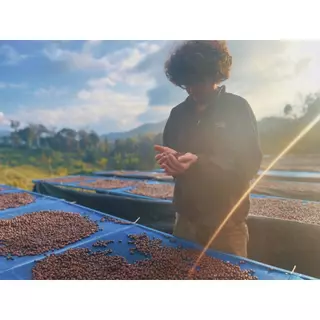 เมล็ดกาแฟ คั่วเข้ม กาแฟมณีพฤกษ์ gem forest coffee Dark forest Roast