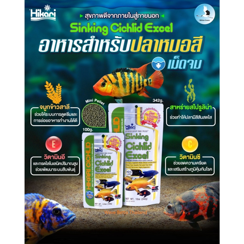 Hikari Sinking Cichlid Excel (อาหารปลาสูตรสมดุล สำหรับปลาหมอสีจากทวีปแอฟริกา ปลากินพืชในเขตร้อน)