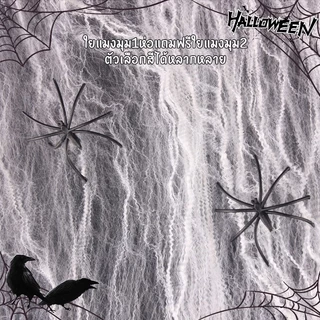 【ส่งจากกรุงเทพฯ】🎃🎃Halloween ใยแมงมุมสีสันสดใสฮาโลวีน, อุปกรณ์ตกแต่งปาร์ตี้วันหยุดสยองขวัญ, เค้าโครงฉากหนีห้องผีสิง