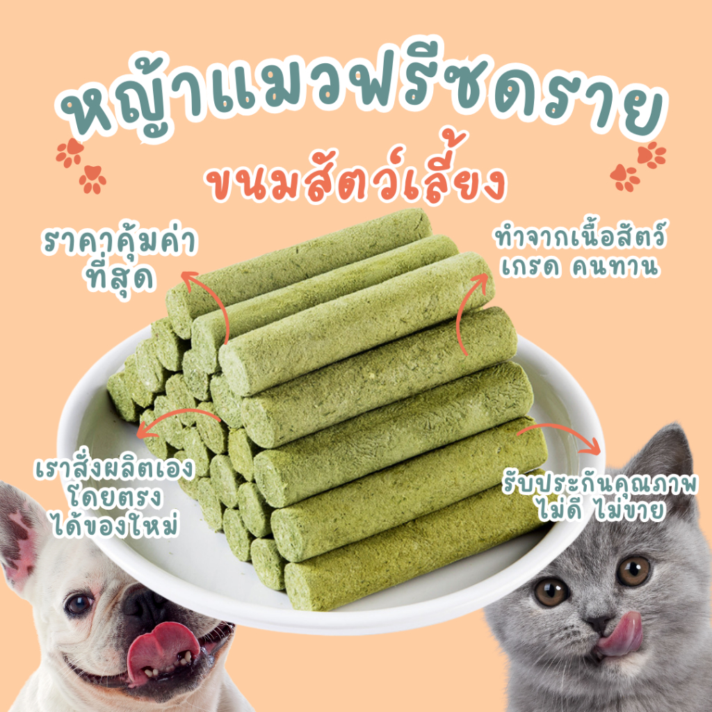 ขนมแมวฟรีซดราย หญ้าแมวฟรีซดราย ขนมแมว ขนมสุนัข สัตว์เล็ก ต้นอ่อนข้าวสาลี freeze dried pet treat หญ้าแท่ง