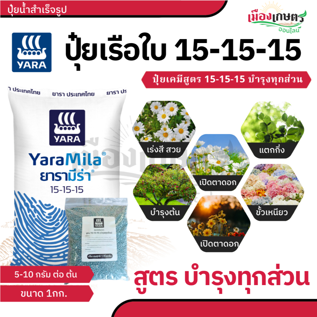 ปุ๋ยยารามีร่า ปุ๋ยสูตร 15 15 15 สูตรเสมอ สูตร เร่งต้น เร่งดอก เร่งผล ปุ๋ยเร่งดอก ปุ๋ยเร่งผล ปุ๋ยทำดอก ปุ๋ยไม้ดอก ปุ๋ยดอก