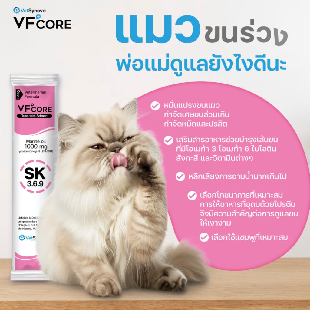 รูปภาพ 5