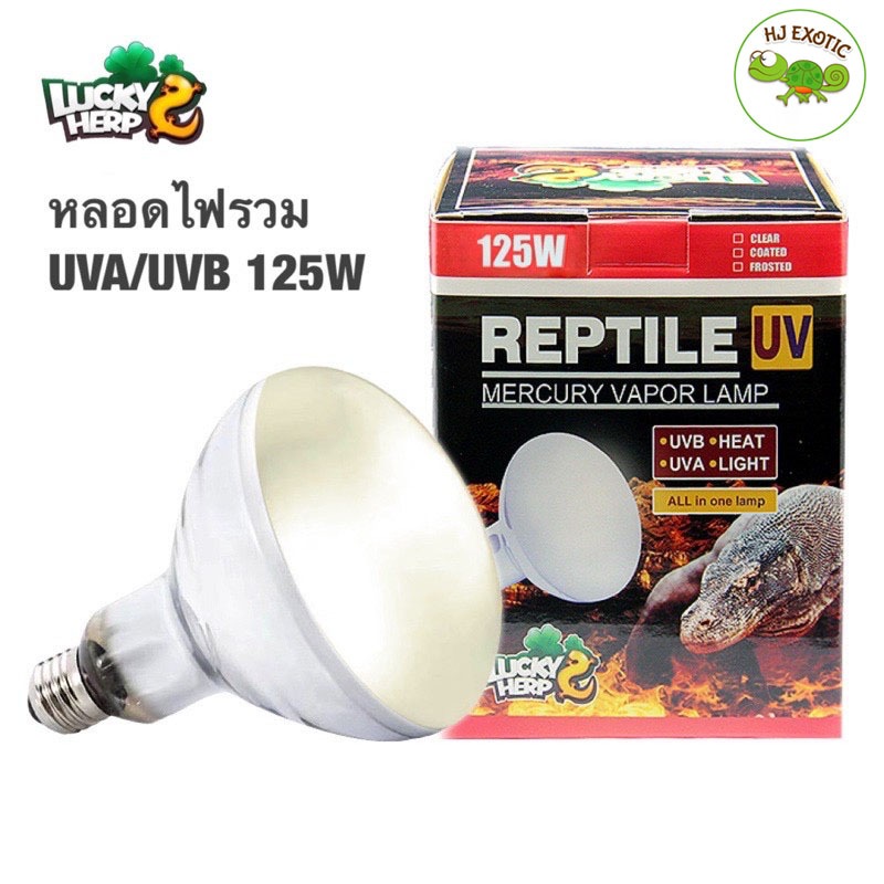 Lucky herp หลอดไฟ รวม UVA UVB ในหลอดเดียวกัน 125W