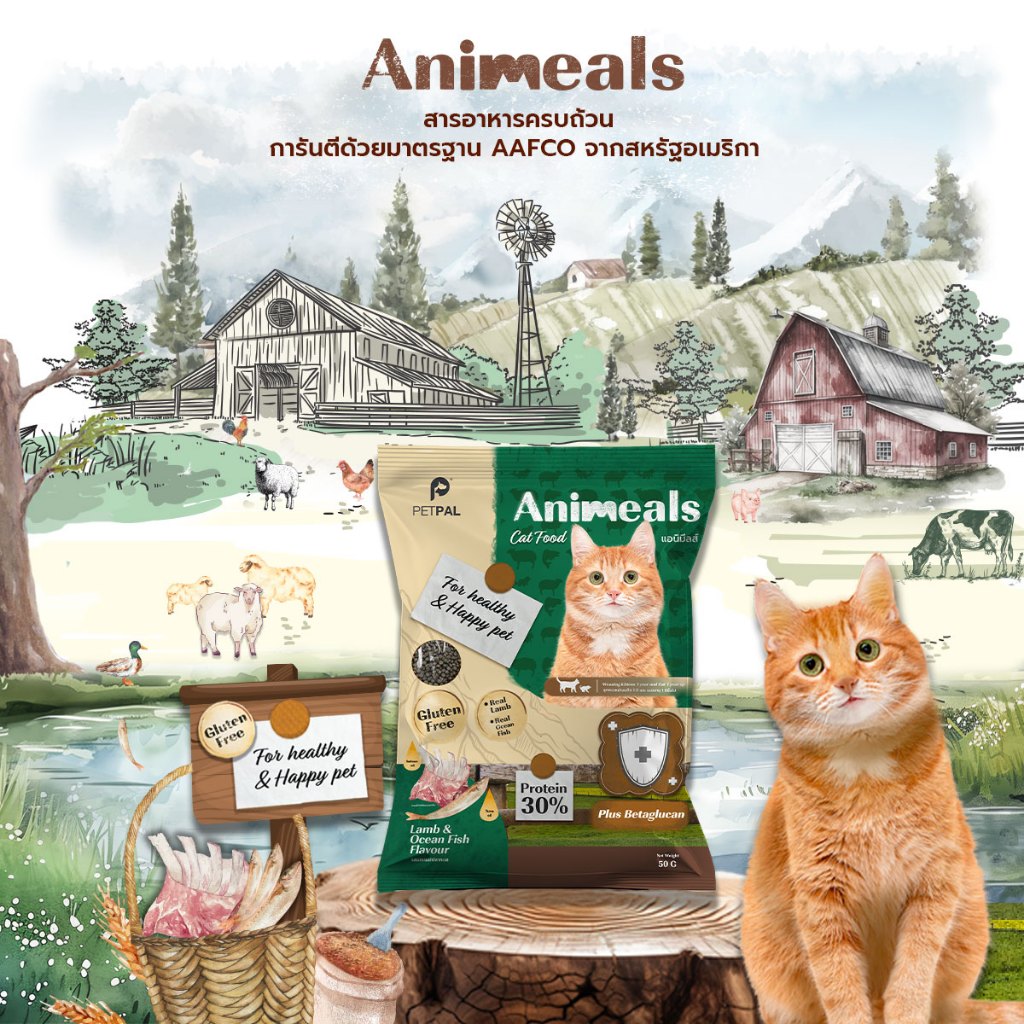 Animeals แอนิมีลส์ อาหารลูกแมวและแมวโต สูตรแกะและปลาทะเล 1KG.