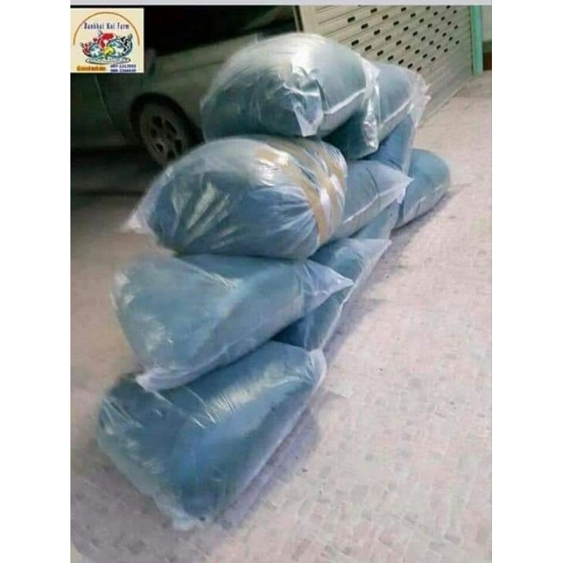 อวนเขียวมือสอง น้ำหนักประมาณ 10กก. แนะนํา​ใช้​งานในช่องกรองบ่อปลา ทำอวนบอล อวนเก่า ซักล้างได้ ใช้ได้อีกนานไม่ต้องเปลี่ยน - รูปที่ 3