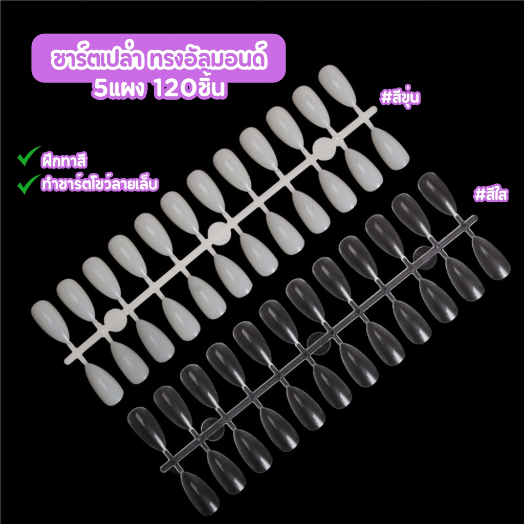 ชาร์ตเปล่า อัลมอนด์ 120ชิ้น 5แผง ใส/ขุ่น