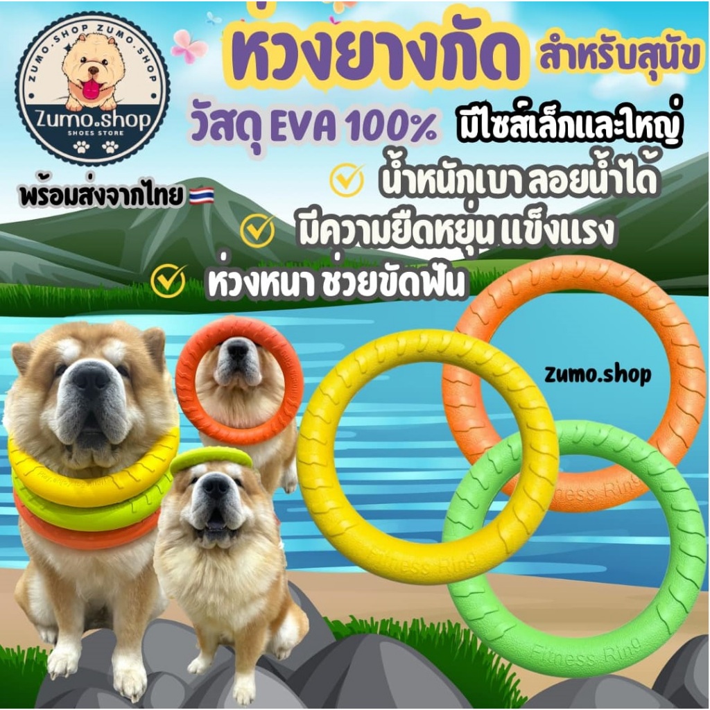 [🇹🇭Zumo shop]ห่วงยางกัดสำหรับสุนัข มีไซส์เล็กและใหญ่ วัสดุ EVA ปลอดภัย น้ำหนักเบาลอยน้ำได้ มีความยืดหยุ่นแข็งแรง ห่วงหนา