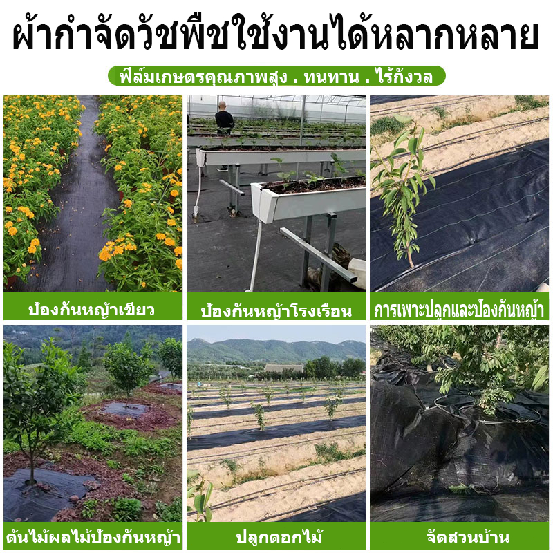 COD พลาสติกคลุมดิน (เกรด A)คลุมวัชพืช กำจัดหญ้า ป้องกันรังสีUVหมดปัญหาหญ้าขึ้นกวน พลาสติกคลุมหญ้า พลาสติกคลุมวัชพืช - รูปที่ 4