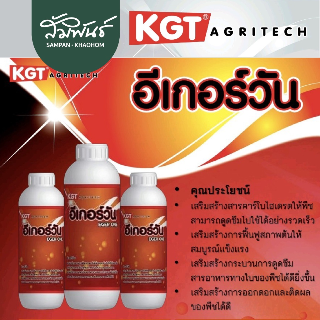 อีเกอร์วัน KGT น้ำตาลทางด่วน แตกตาใบ ตาดอก อีเกอร์วัน KGT