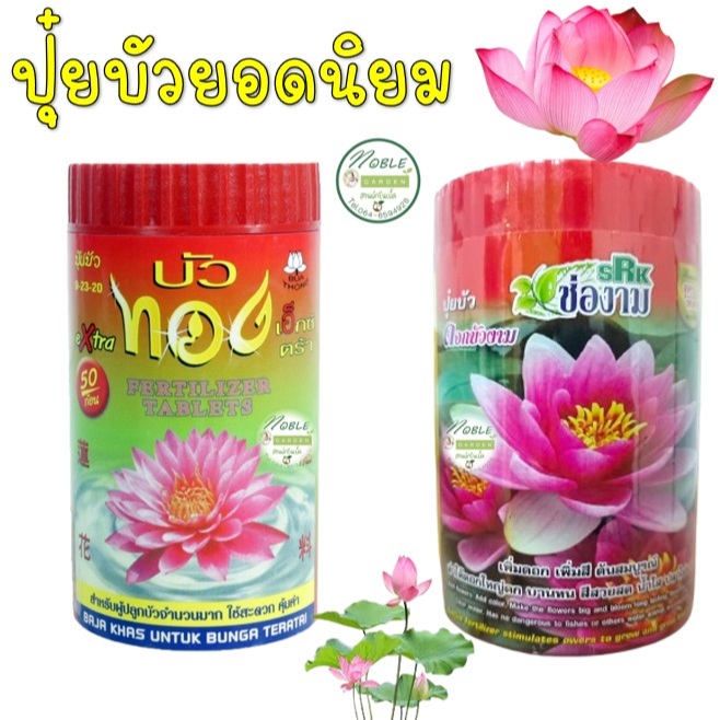 ปุ๋ยบัว ปุ๋ยไม้น้ำ ปุ๋ยดอกบัว ตราบัวทอง และ ตราช่องาม 🌷 สูตรพิเศษ 50 เม็ด บำรุงต้น ดอก สีสด กลีบหนา ปลอดภัยต่อสัตว์น้ำ