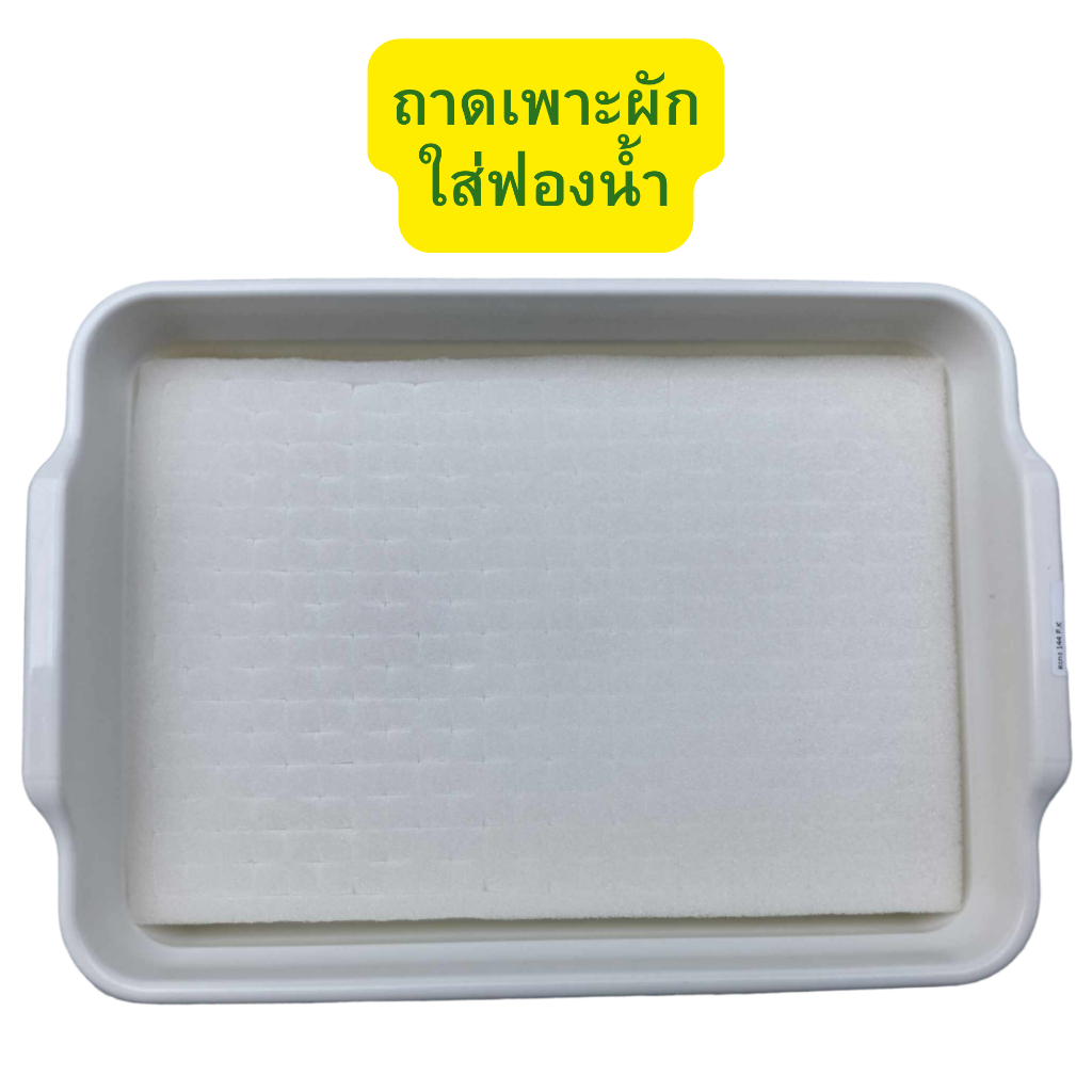 ถาดเพาะผักใส่ฟองน้ำ 1 แผ่น ถาดเพาะ+ฟองน้ำเพาะเมล็ด