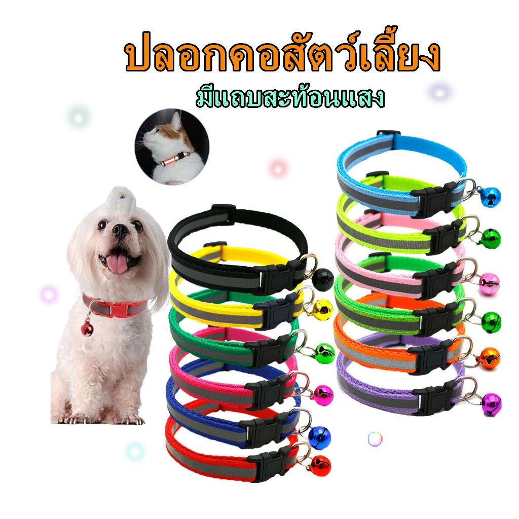 Boqi Factory ปลอกคอสัตว์เลี้ยง ปลอกคอหมา ปลอกคอแมว มีสีเทาสะท้อนแสง Cat collor01 - รูปที่ 7