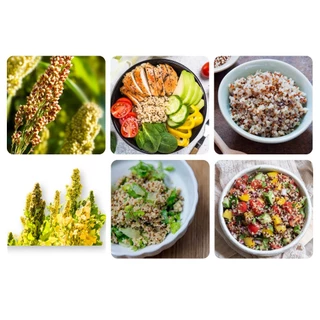 ควินัว 3สี ออร์แกนิคแท้ 500กรัม ตราฮักละมูลฟาร์ม ใหม่ หอม นุ่ม Organic Tricolor Quinoa