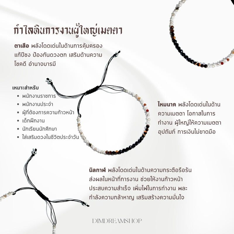 รูปภาพ 8