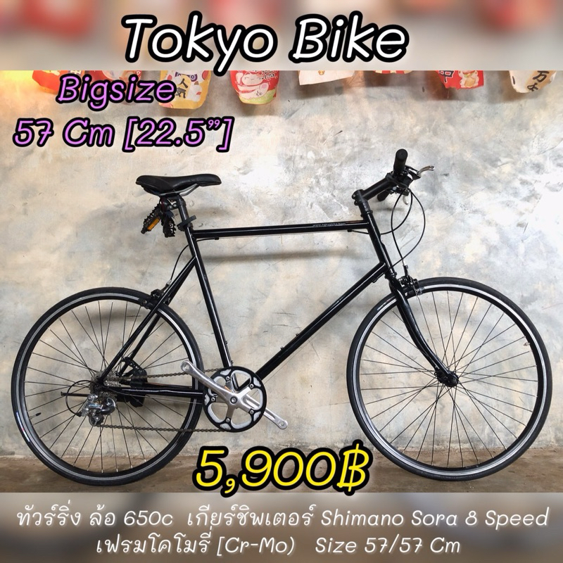 Tokyo Bike จักรยานทัวร์ริ่งญี่ปุ่น