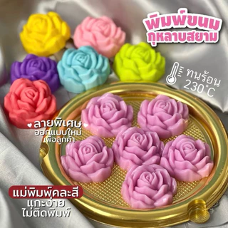 พิมพ์วุ้น แพคละ 6 ชิ้น กุหลาบนิวเยียร์ กุหลาบโรเซ่ กุหลาบนานาพันธุ์ ขนาด 5 cm จำนวน 6 ชิ้น
