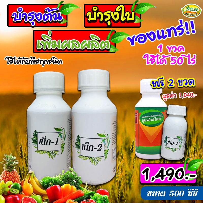 นุชฟอร์ไลฟ์เน็ก1+เน็ก2ใหญ่ขนาด500ccแถมสารจับใบ500cc 1 ขวด+เน็กเล็ก 1 ขวด