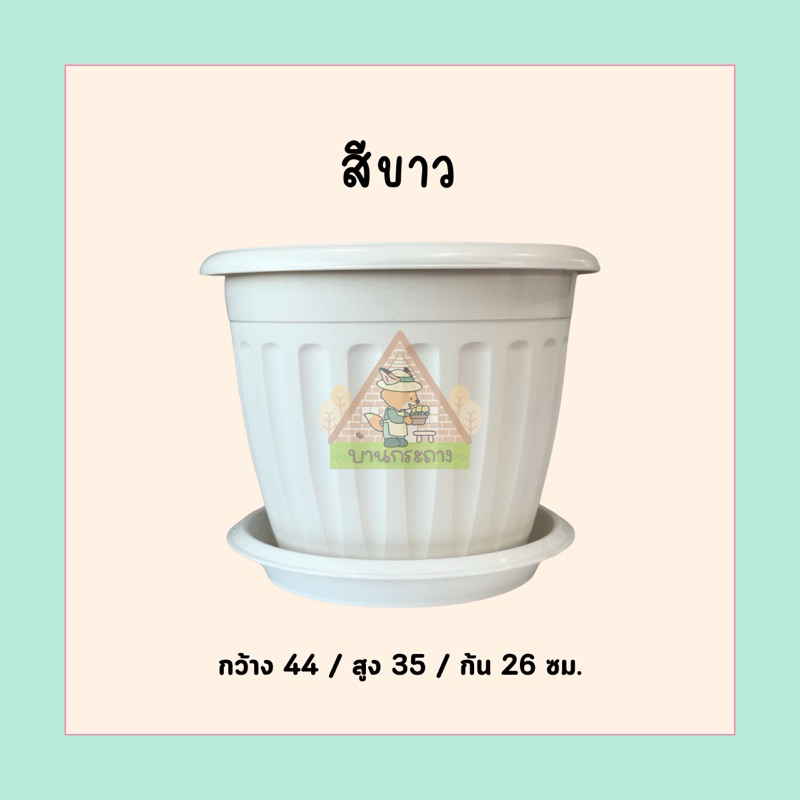 กระถางโรมัน17นิ้วพร้อมจานรอง กระถางทรงโรมัน กระถางน่ารัก รูปที่ 4