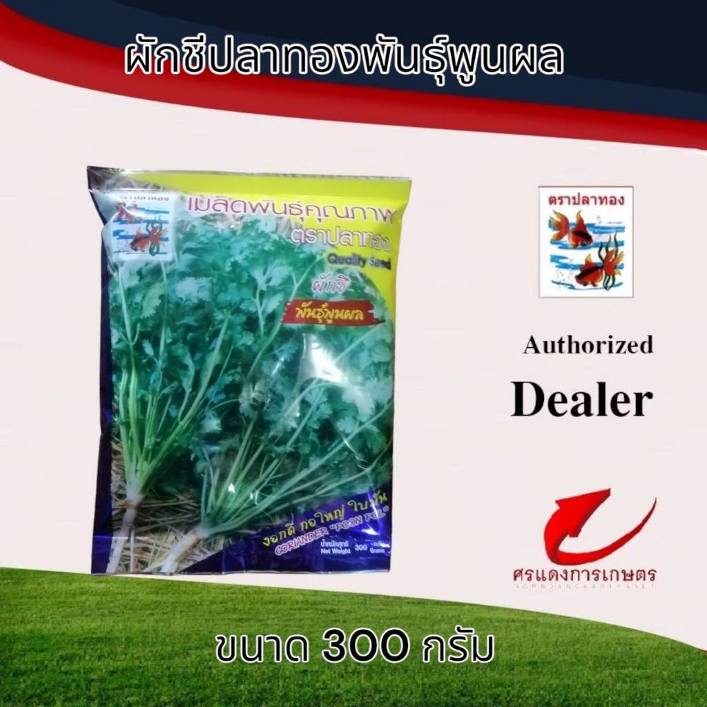 ผักชีพูนผลปลาทอง 300g