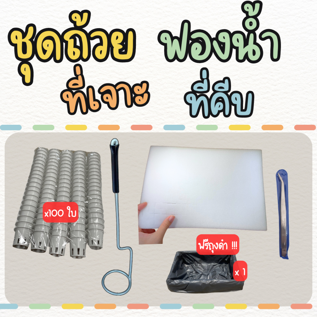ชุด ถ้วยปลูก 100 ใบ ที่เจาะรู ฟองน้ำ ที่คีบ เเถมฟรี  ถุงดำคลุมกล่องโฟม