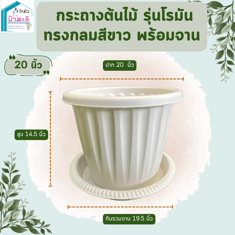 กระถางต้นไม้ รุ่นโรมัน ทรงกลมสีขาว พร้อมจาน ขนาด 20 นิ้ว
