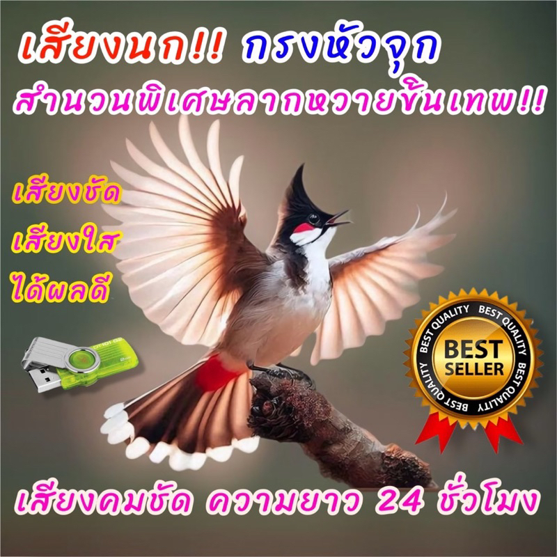 เสียงนกกรงหัวจุก สำนวนพิเศษเพลงลากหวาย เสียงฝึกนก ชัด100% 026
