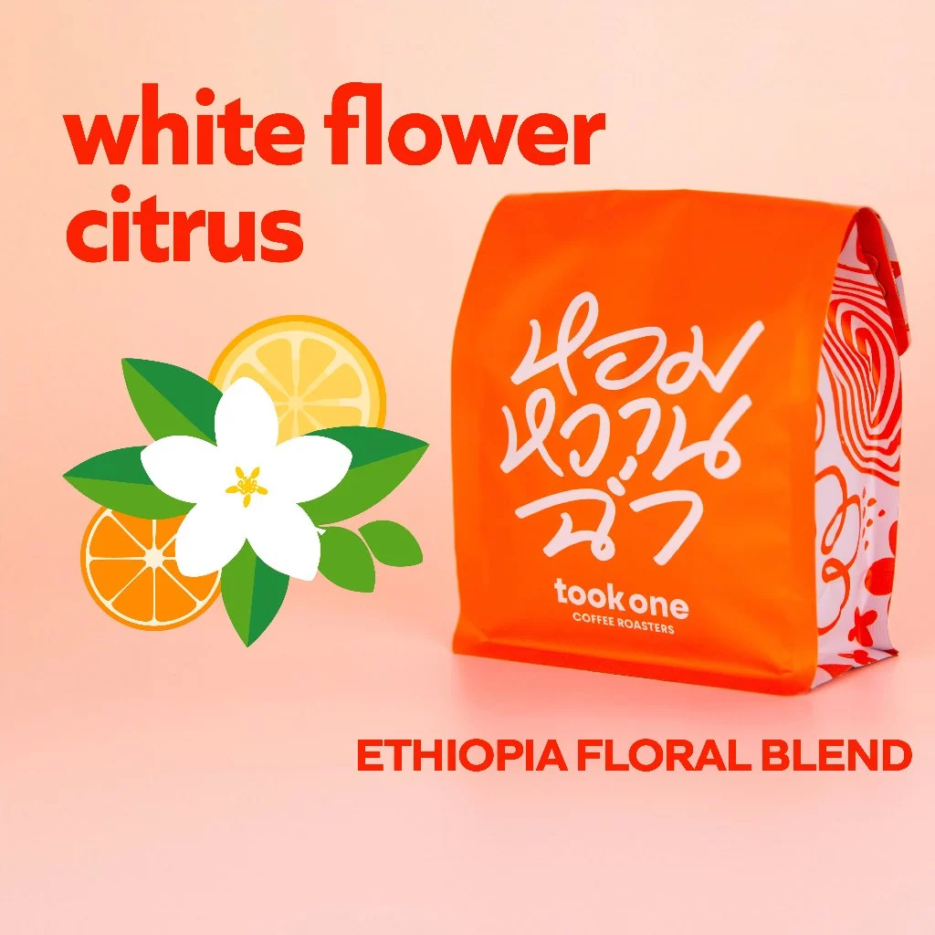Tookone Coffee Floral Ethiopia Blend เมล็ดกาแฟนอก คั่วกลาง - คั่วอ่อน หอมเบาๆ Light Medium Roast House Blend 200g