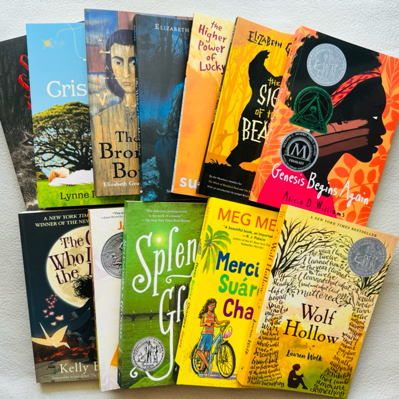 Newbery Honor / Popular Chapter Books - Wolf Hollow,Griss Cross,Witch of Blackbird Pond,Sign of the Beaver …, Paperback