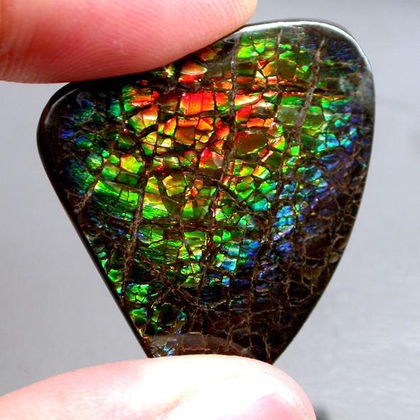 Ammolite แอมโมไลต์ (Ammolite) อัญมณีโลกล้านปีสุดหายาก อัญมณีนำโชค อัญมณีสะสม