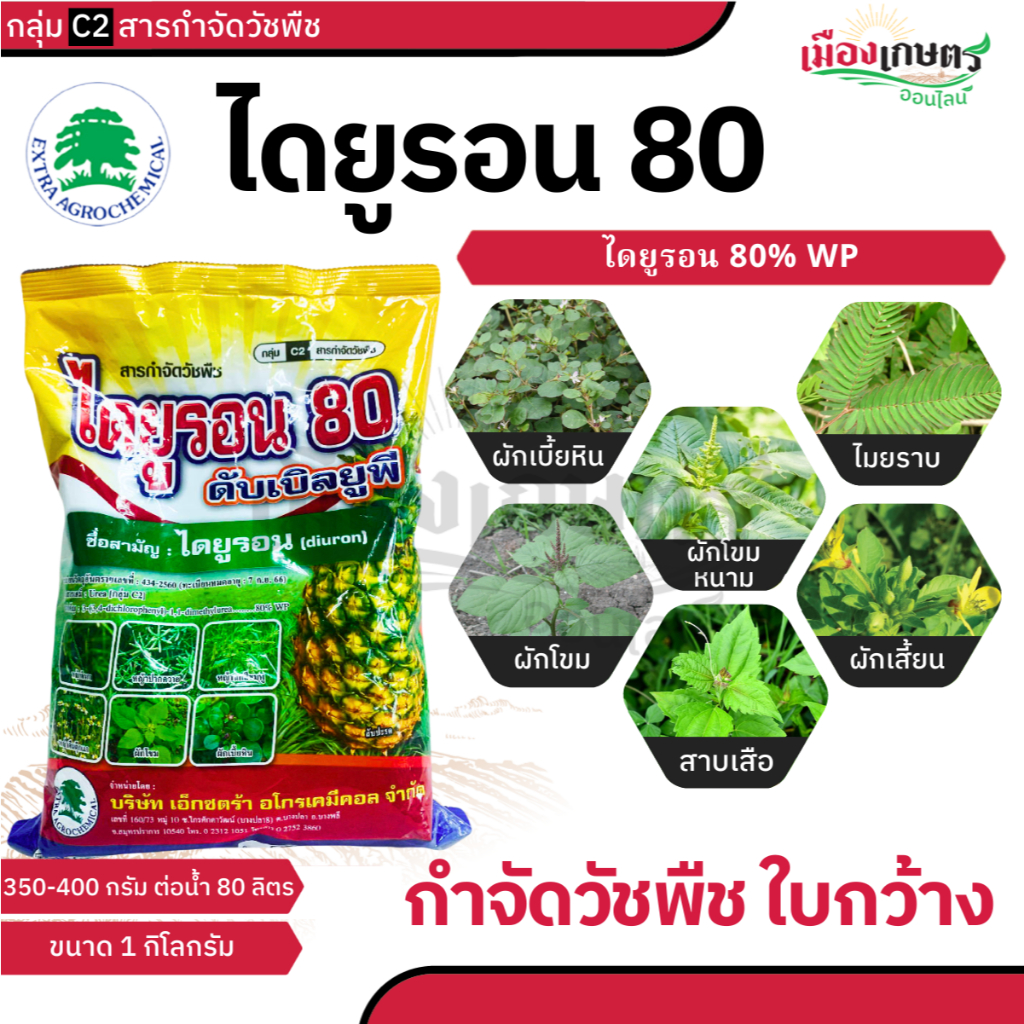 ไดยูรอน 80 ขนาด 1กก. สารป้องกันจากหญ้า ใบแคบ ใบกว้าง แบบดูดซึม และ เผาไหม้ หญ้าขน หญ้าคา แห้วหมู สลายตัวง่ายไม่ตกค้าง